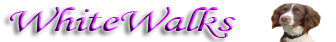 WhiteWalks Logo
